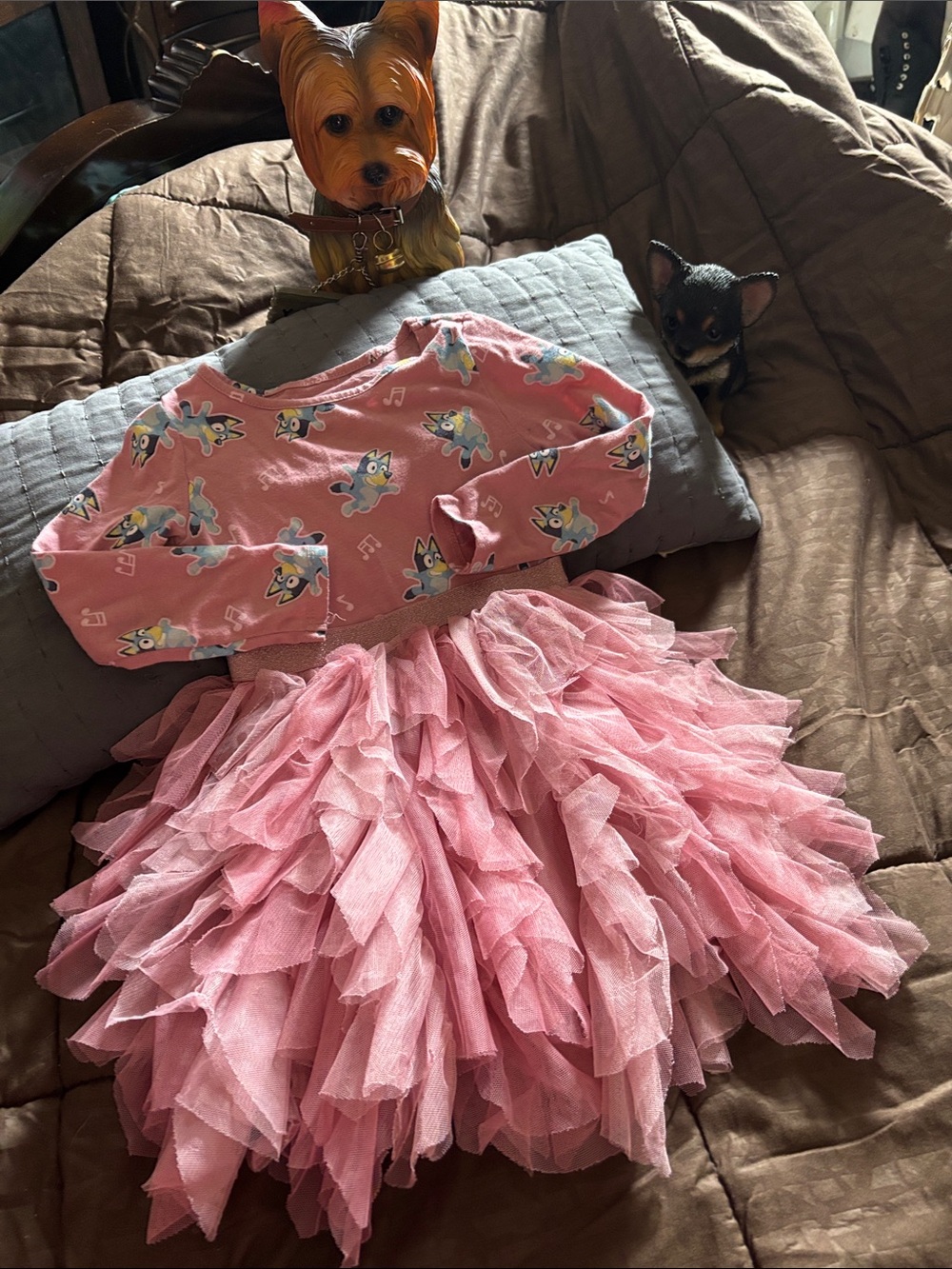 Girls' Pink Tulle Ruffle Skirt and Printed Top Dance Costume